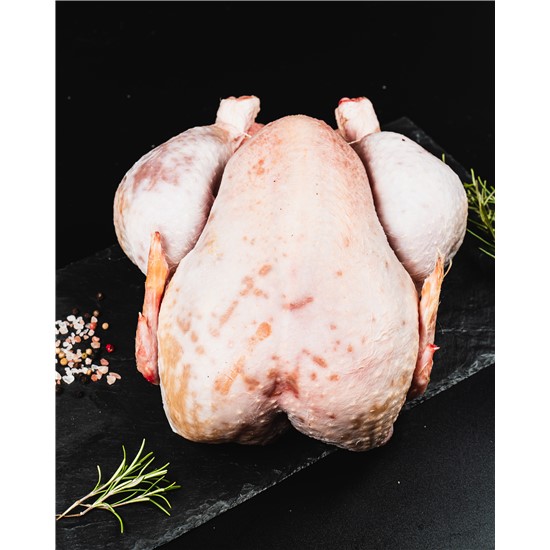 Poule