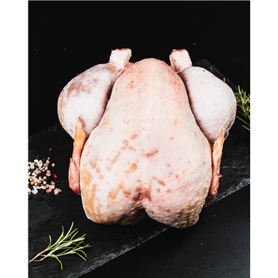 Poule